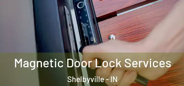 Magnetic Door Lock Services Shelbyville - IN